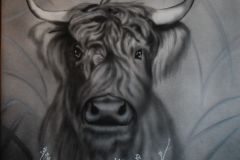 Highland-cow-op-doek-50x60-cm