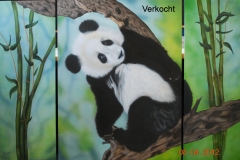 panda- op Hout Drieluik Grootste luik 60x80 cm