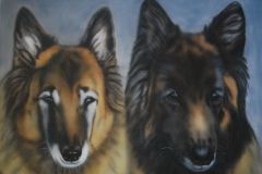Banchie-en-Chjarno-Tervuerense-Herders op Doek 50x60 cm