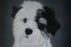 Boomer-Hond-Jonge-bobby op Trespa 30x30 cm