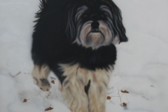 Boomer-Hond-Richie op Doek 40x50 cm