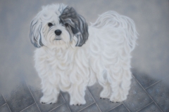Boomer-hond-Bobby op Doek 40x50 cm