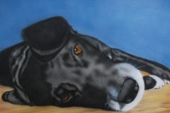 Dash-kruising-labrador-en-Beagle op Doek 30x40cm