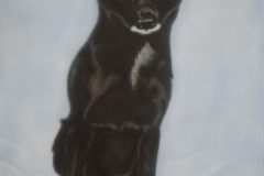Groenendaeler-Doenja op Doek 40x50 cm