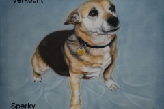 Jack-Russel-Sparky op Doek 40x50 cm