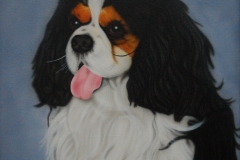King-charles-Dani op Doek 40x50 cm