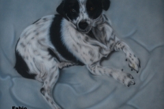 Kruising-Markies-Hond-Fabio op Doek 40x50 cm