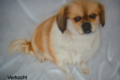 Kruising-Pikenees-en-Malthezer-quincy op Doek 40x50 cm