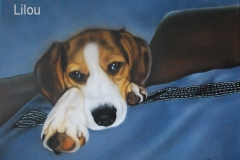 Lilou-sheagle op Doek 30x40 cm