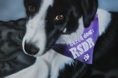 Megs-Kruising Border-Collie op Trespa 30x40 cm