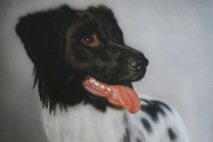 Nora Friese Stabij op Doek 30x40 cm