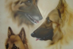 Tervuerense-Herder-Kelly-Vickey-Kiara op papier 50x60 cm