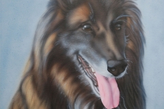 Tervuerense-Herder-Renz op Doek 40x50 cm