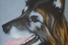Tervuerense-Herder-nash op Doek 30x40 cm