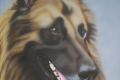 Tervuerense-Herder-ringo op Doek 30x40 cm