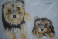 Yorkshire-Terrier-mausi-en-snoopy op Doek 40x50 cm