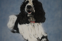 cocker-spaniel-Max op Doek 40x50 cm