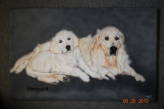 goldenretrievers op Trespa