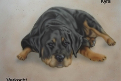 kyra-rottweiler op papier 50x60 cm