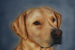 labrador-Boris-2 op Doek 30x40 cm