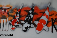 Japanse-Kois-Dani-Koi opHout