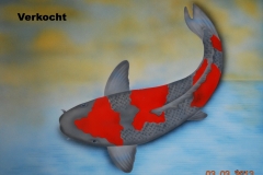Japanse-koi-Gosgiki-op-Trespa 50x60 cm