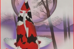 Japanse-koi-Showa-sanshoku-op-doek 30x40 cm