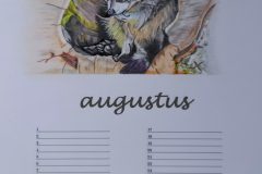 Augustus