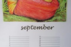 September