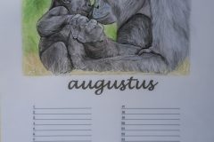 Augustus