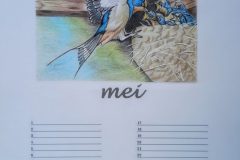 Mei