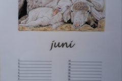 Juni