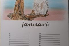 Januari