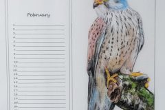 February