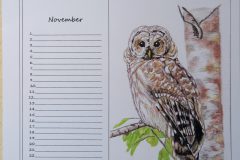 November