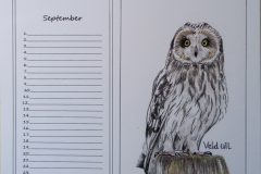 September