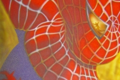 Spiderman-op-doek 40x50 cm