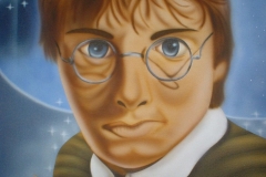Harry-potter op Doek 40x50 cm