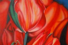 tulpen op Hout 60x80 cm